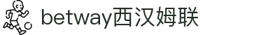 BETWAY·必威(西汉姆联)官方网站-West Ham United